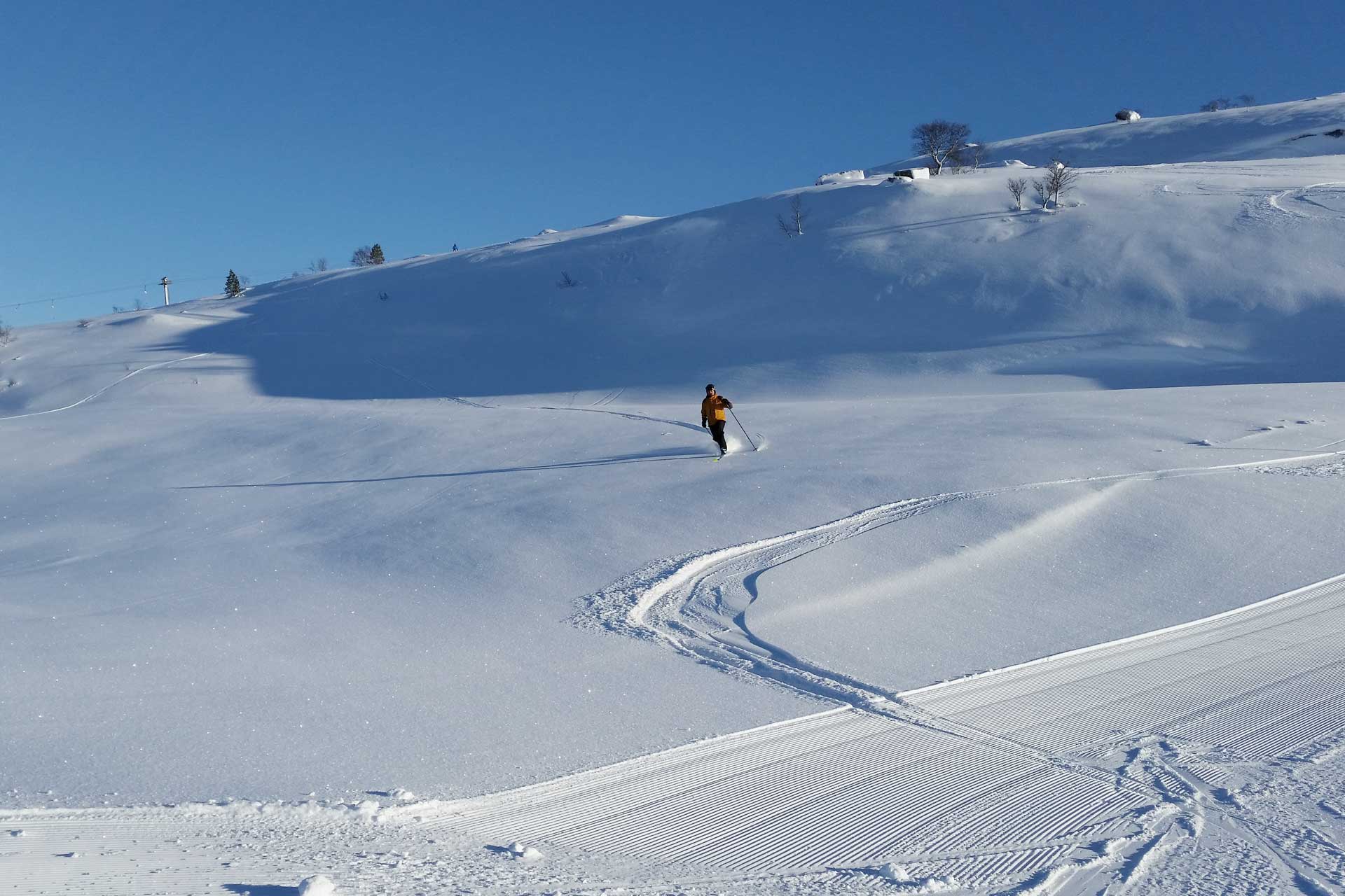 Alpinsenter